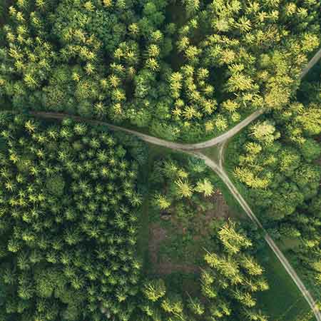 Forestry France  gestion des forêts exploitation de la ressource bois